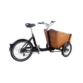 Новый стиль Езды на велосипеде Для детей и взрослых, 3-колесный Электрический Велосипед с детским сиденьем, Трехколесный велосипед для покупок, велосипед для перевозки овощей